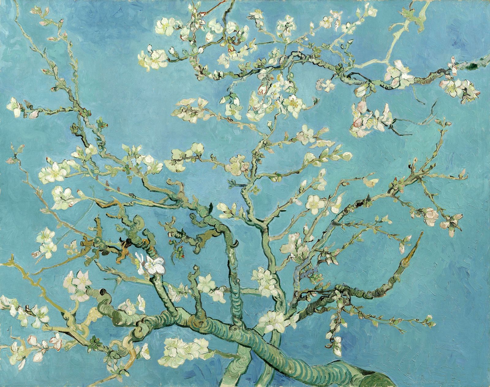 Винсент Ван Гог - Цветущие ветки миндаля